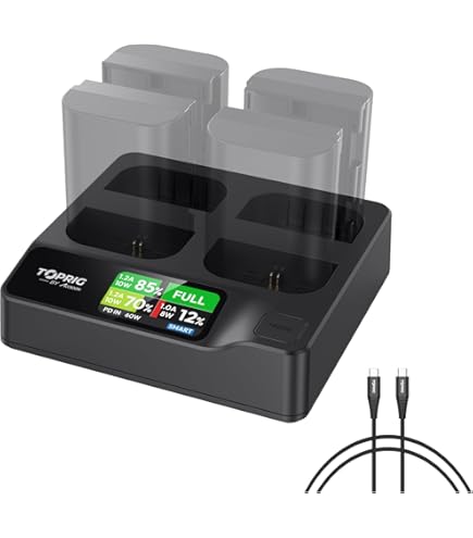 Amazon.com: Used Original Battery Charger BC-L1 Compatible